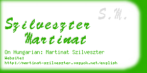 szilveszter martinat business card